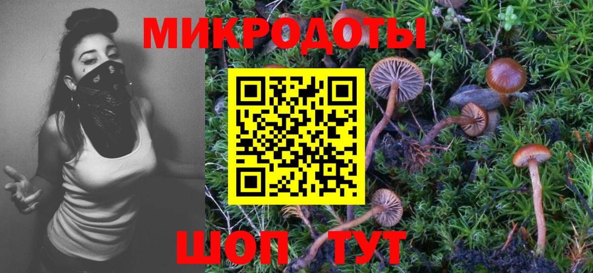 Псилоцибиновые грибы GOLDEN TEACHER Волжский