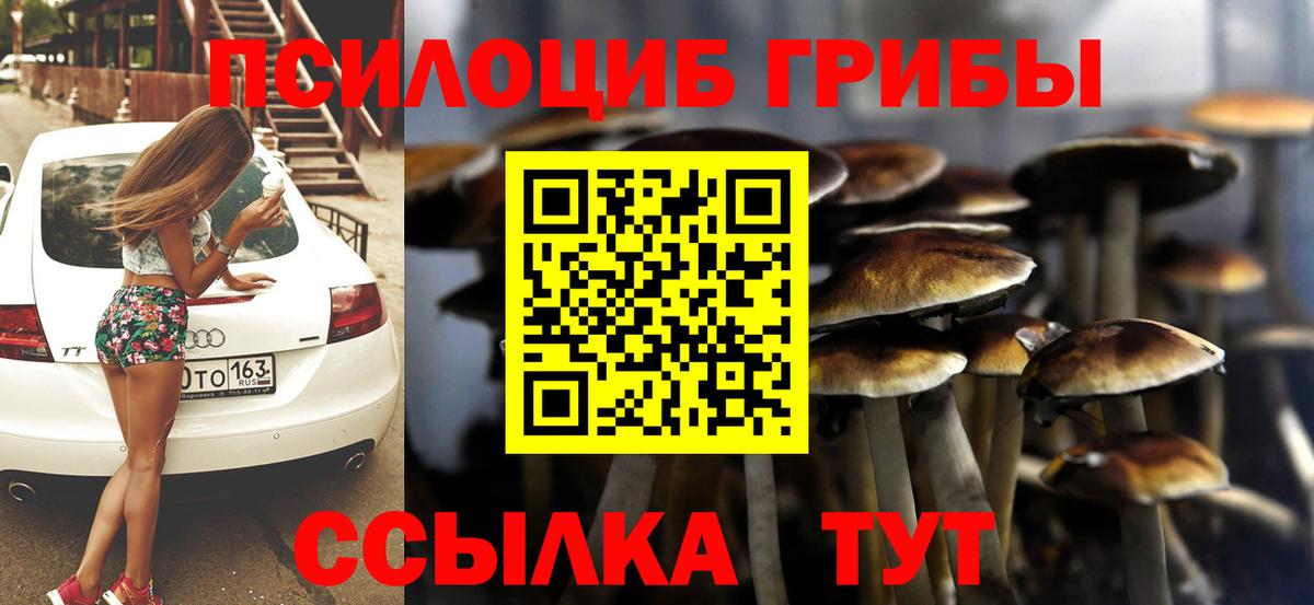 Волжский  Галлюциногенные грибы Cubensis  Псилоцибиновые грибы Cubensis  Вход с VPN 